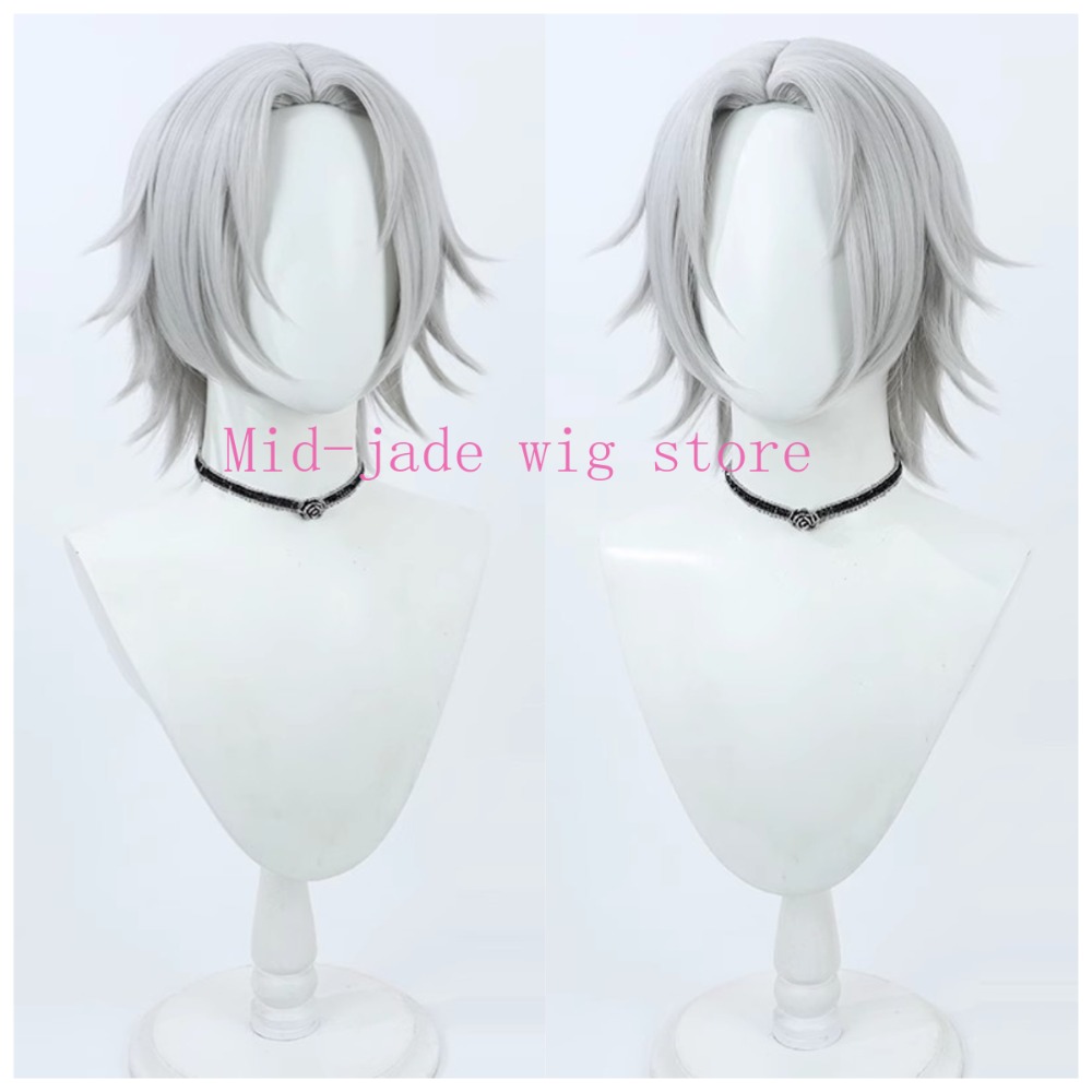 Hayato Gokudera Cosplay-Perück – Photography Japanese Bewertung und Preis