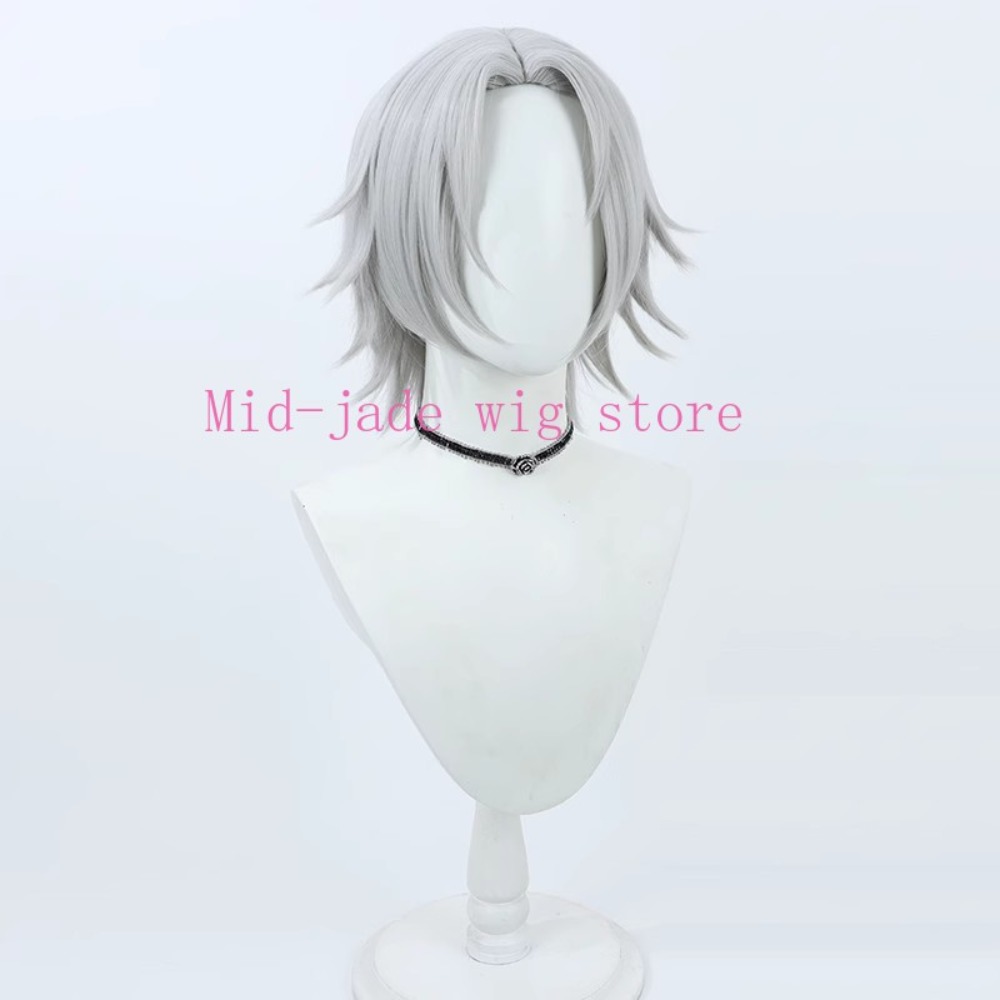 Hayato Gokudera Cosplay-Perück – Photography Japanese Bewertung und Preis