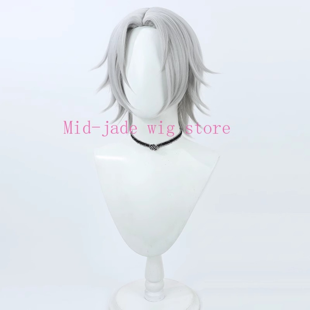 Hayato Gokudera Cosplay-Perück – Photography Japanese Bewertung und Preis
